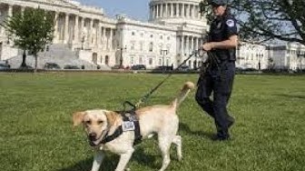 June 9th 2018 Walking Between House and Senate Stingrays