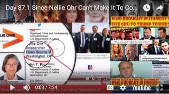 September 21st 2018 Did Nellie Ohr Get Visas For Crossfire Hurricane Spy Imports?