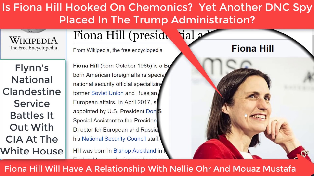 September 8th 2018 Turns Out Fiona Hill, Ms. Spy Ring In the White House, Is Chemonics Too.