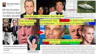 August 26th, 2019. Epstein_Dyncorp Doing Takedowns Of Diplomats_Scientists - 3 Years Ahead Of MSM